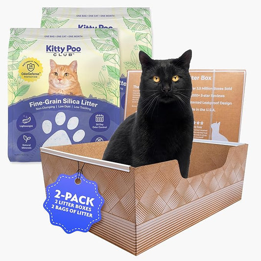 Leakproof Disposable 2-Pack Cat Litter Box with 2 Bags of 6 lbs Litters | Superior Odor Control & Recyclable Design | Perfect for Travel, Multi-Cat Homes & Daily Use — Kitty Poo Club