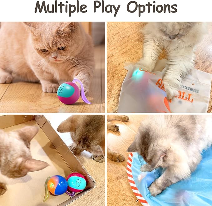 Migipaws Interactive Cat Ball Toy Set, Fun Tracker, Glowing Chase Ball with MystiChaser Pouch, Fluffy Tail, A Small Mice(Rose)