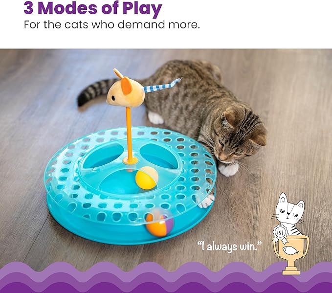 Catstages Cheese Chase Catnip Interactive Cat Track Toy