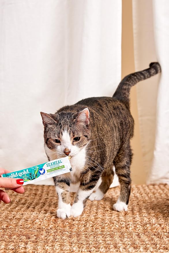 Solid Gold Lickable Cat Treats - Salmon SeaMeal Squeeze Squeezable Cat Treats for Indoor Cats 30 Pack - Made with Fiber-Rich Seaweed for Digestive Health for Immune Support - 3 oz / 30 Count