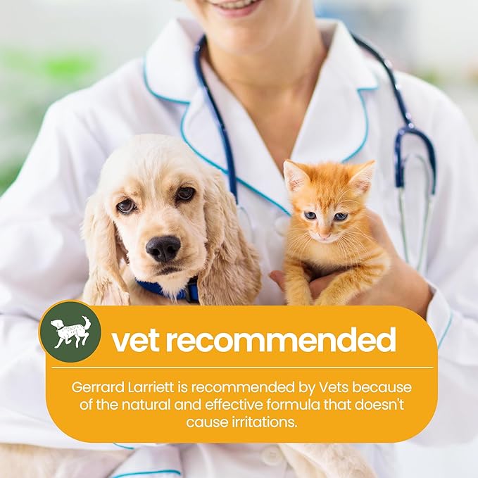 Pet Odor Eliminator Candle Relaxing Wildwoods Scented Candles for Home Decor - Calming Candles Aromatherapy, Soy Wax Pet Candles Odor Eliminator for Home - Pet Friendly Candles by Gerrard Larriett