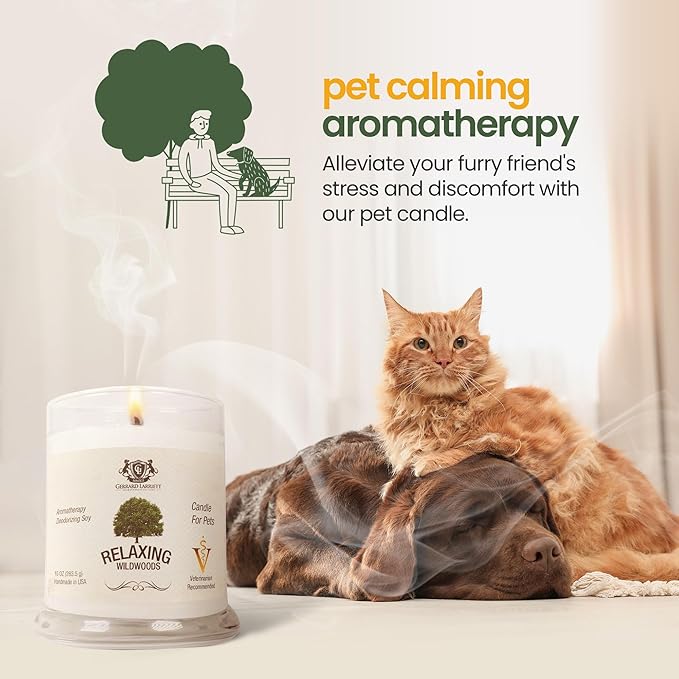 Pet Odor Eliminator Candle Relaxing Wildwoods Scented Candles for Home Decor - Calming Candles Aromatherapy, Soy Wax Pet Candles Odor Eliminator for Home - Pet Friendly Candles by Gerrard Larriett