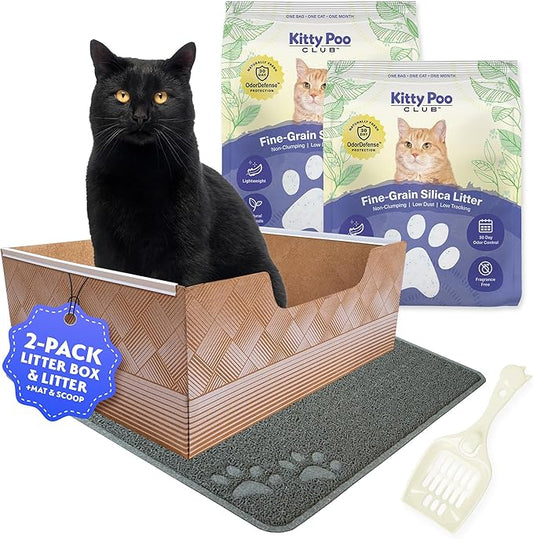 Leakproof Disposable 2-Pack Cat Litter Box with Accessories | Superior Odor Control & Recyclable Design | 2 Litter Box, 2-Pack of 6lbs Litter, Mat & Scoop |Multi-Cat Homes & Daily Use — Kitty Poo Club