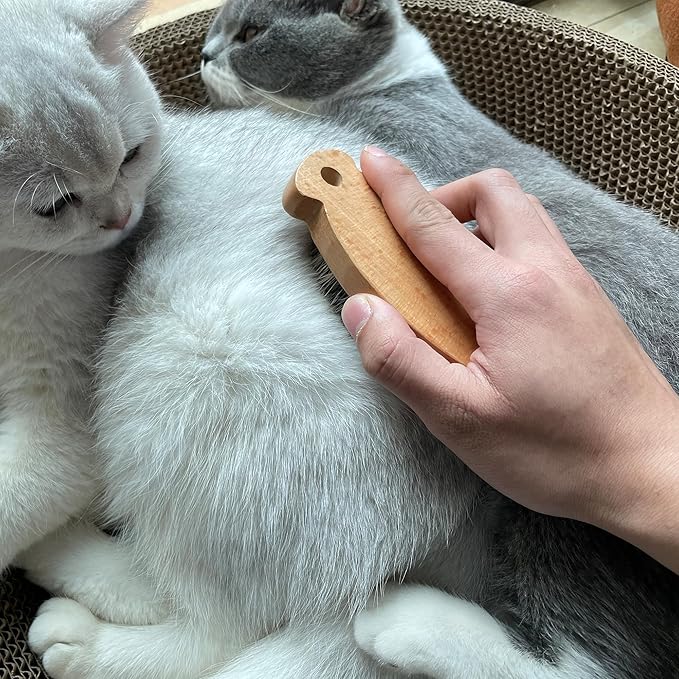 Cat Brush with Boar Bristle, Professional Grade Daily Grooming Hairbrush, Reduce Shedding, Soft Hair and Healthy Shine, Dog Brush for Shedding Short Haired Dogs (Oval Palm Brush)