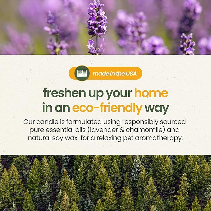 Pet Odor Eliminator Candle Lavender and Chamomile Scented Candles for Home Decor - Calming Candles Aromatherapy, Soy Wax Pet Candles Odor Eliminator for Home - Pet Friendly Candles by Gerrard Larriett