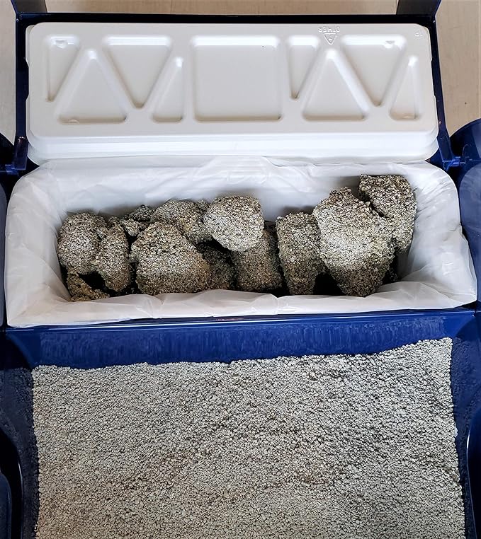 EcoLeo, Compatible with LitterMaid & Nature's Miracle Waste Receptacles, Compostable Certified, Plastic-Free, 60 Refill Bags with Handles, Use in Self-Cleaning Litter Box Waste Trays